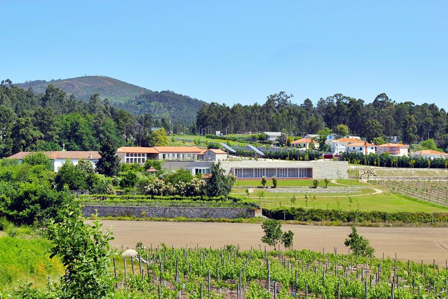 Lousada Country Hotel エクステリア 写真